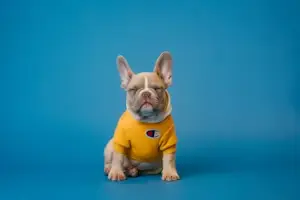 Logotipo do Pet Shop